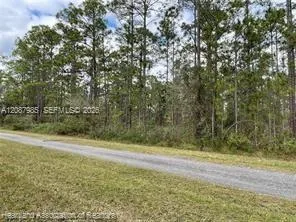 Oleander Drive Lake Wales, FL 33898