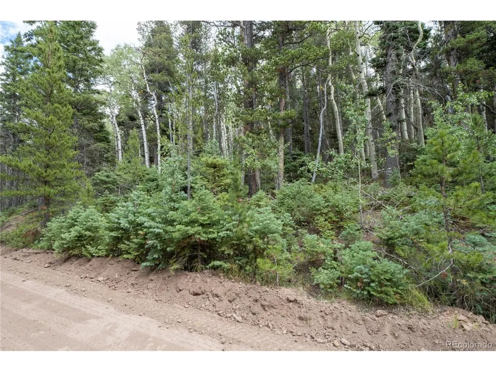 2238 Buonaventura Lane Fort Garland, CO 81133