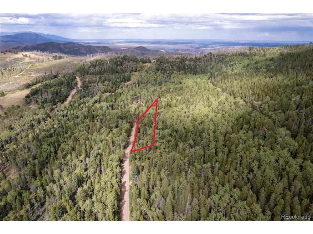 2238 Buonaventura Lane Fort Garland, CO 81133