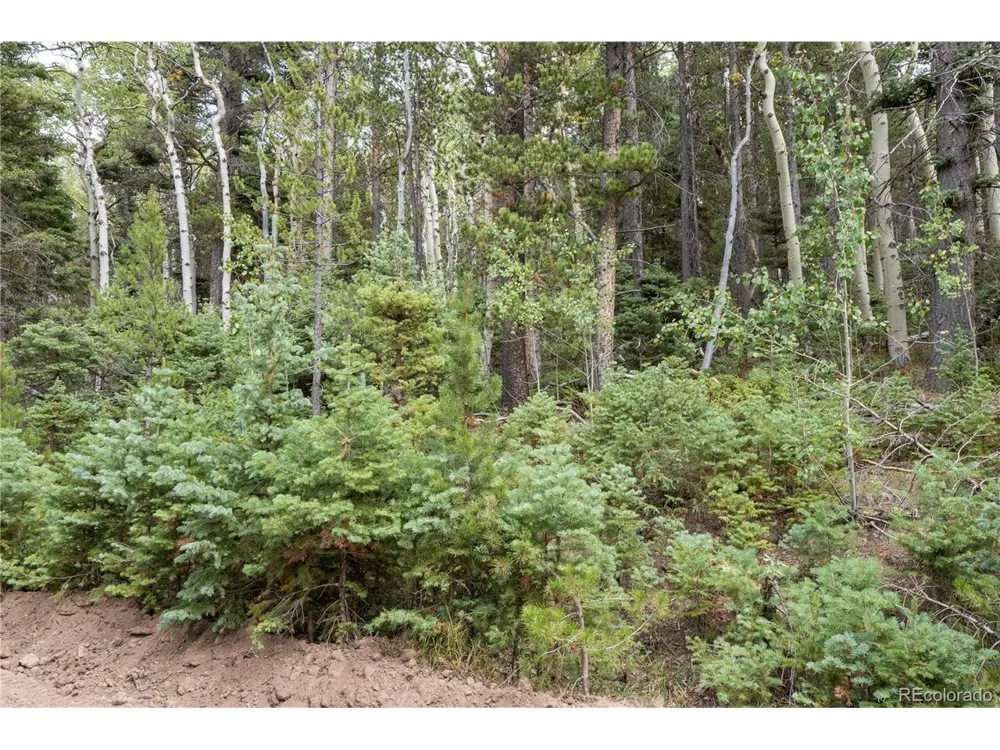 2238 Buonaventura Lane Fort Garland, CO 81133