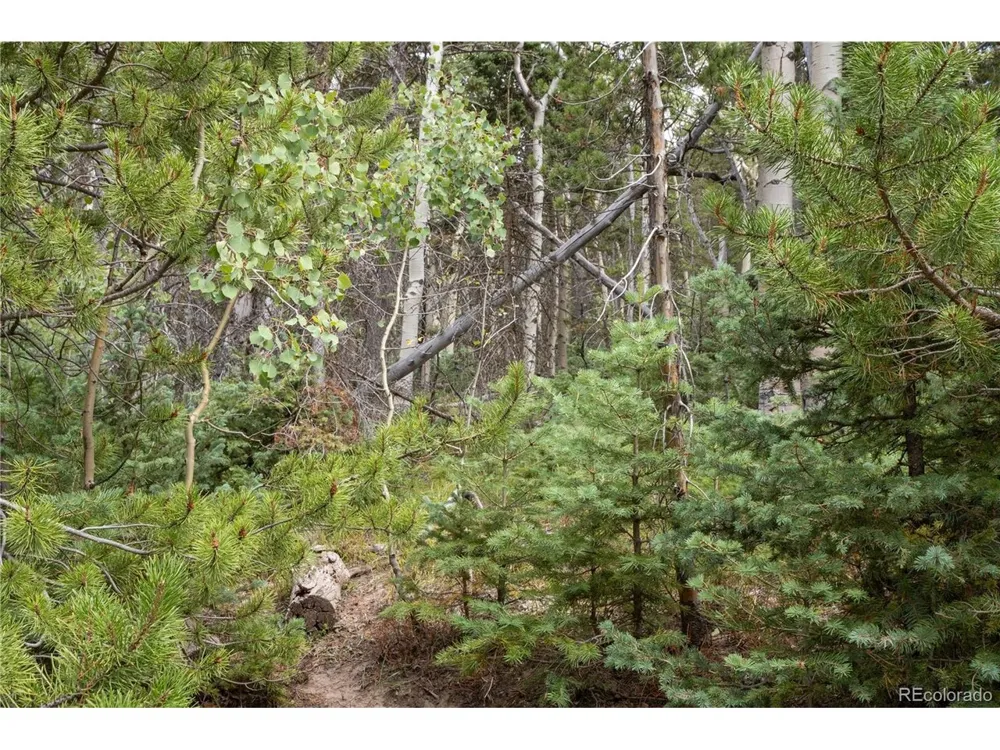 2238 Buonaventura Lane Fort Garland, CO 81133