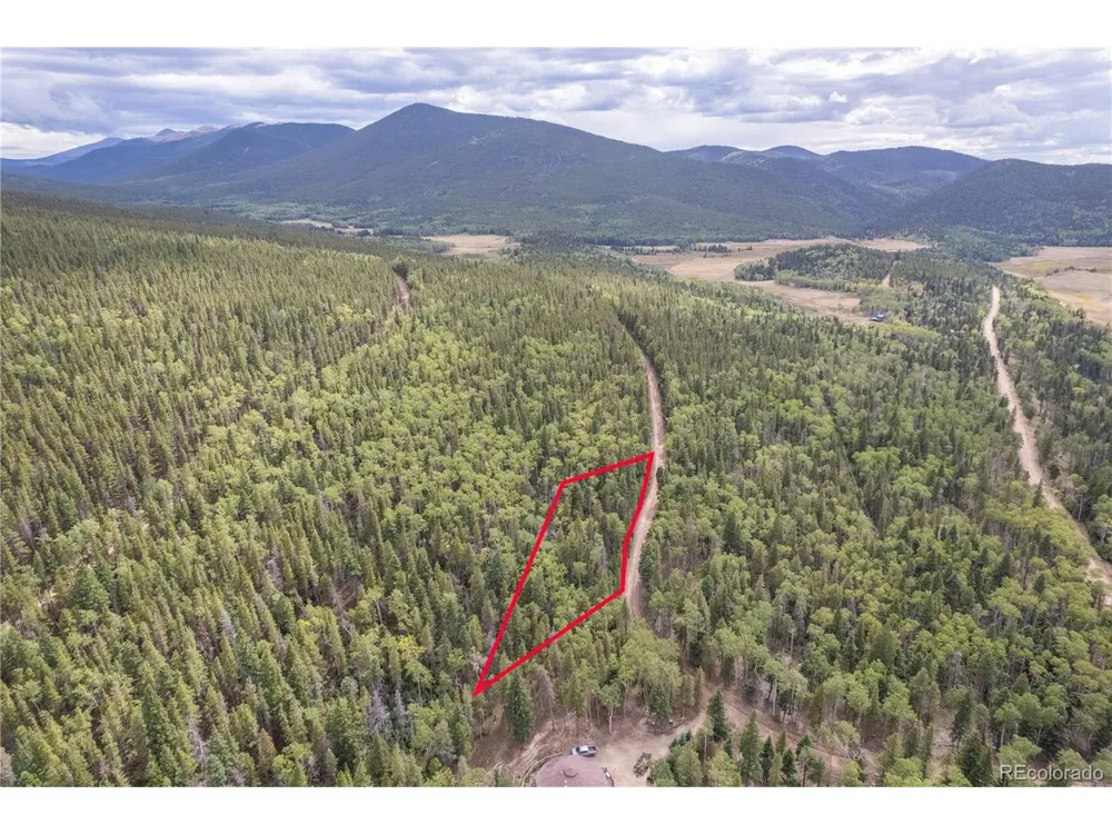2238 Buonaventura Lane Fort Garland, CO 81133