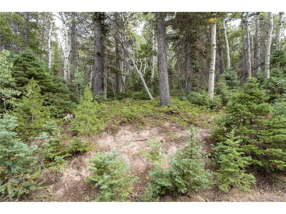 2238 Buonaventura Lane Fort Garland, CO 81133