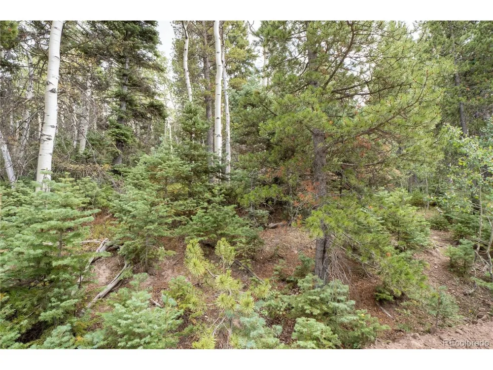 2238 Buonaventura Lane Fort Garland, CO 81133