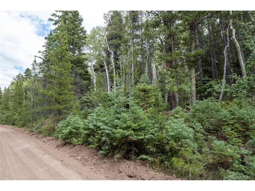 2238 Buonaventura Lane Fort Garland, CO 81133