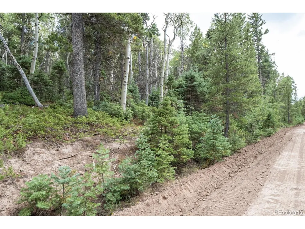 2238 Buonaventura Lane Fort Garland, CO 81133