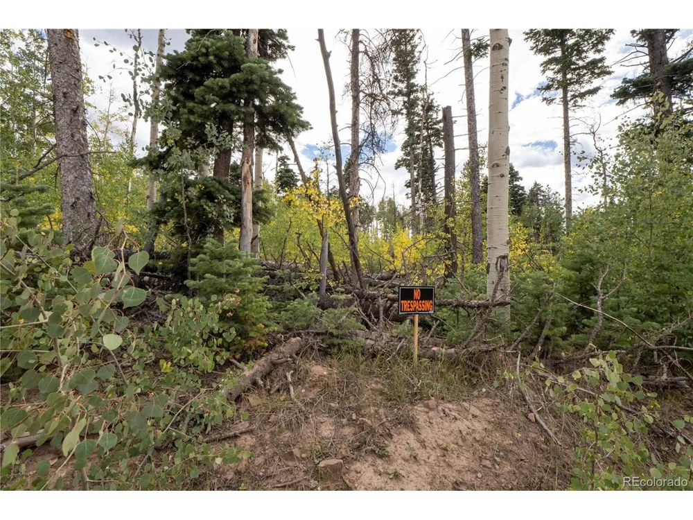 2238 Buonaventura Lane Fort Garland, CO 81133