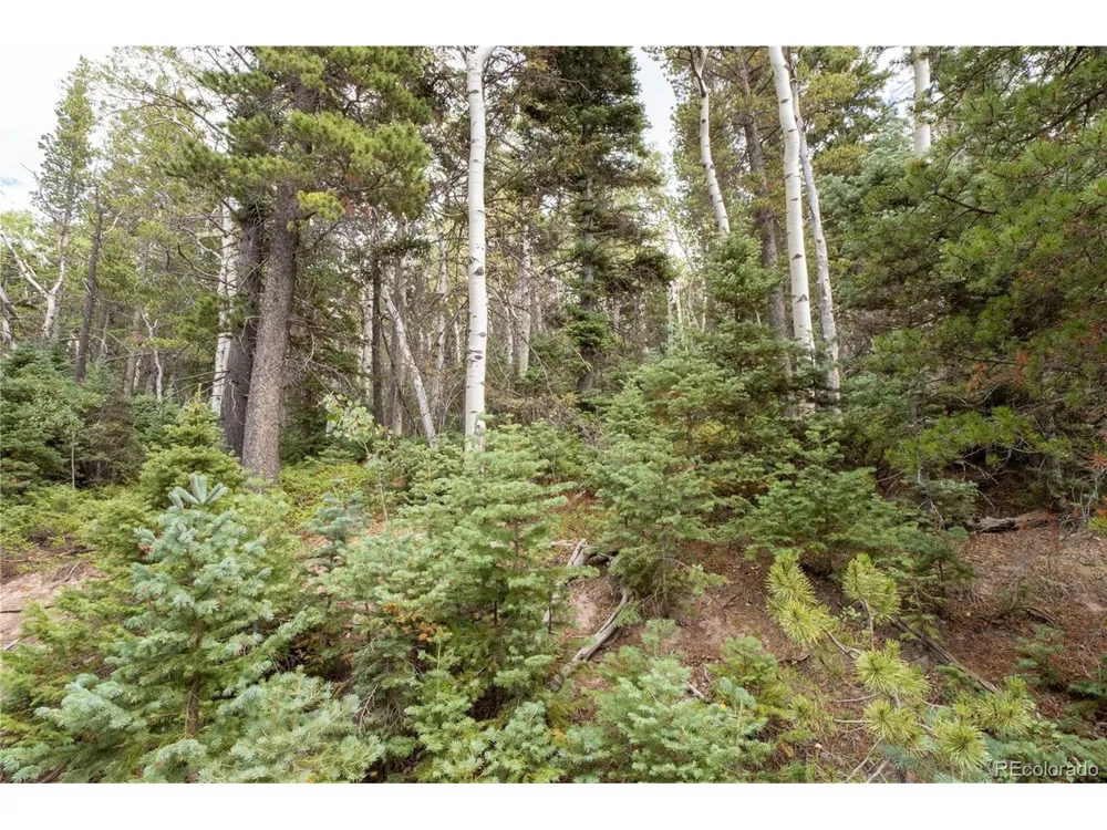 2238 Buonaventura Lane Fort Garland, CO 81133