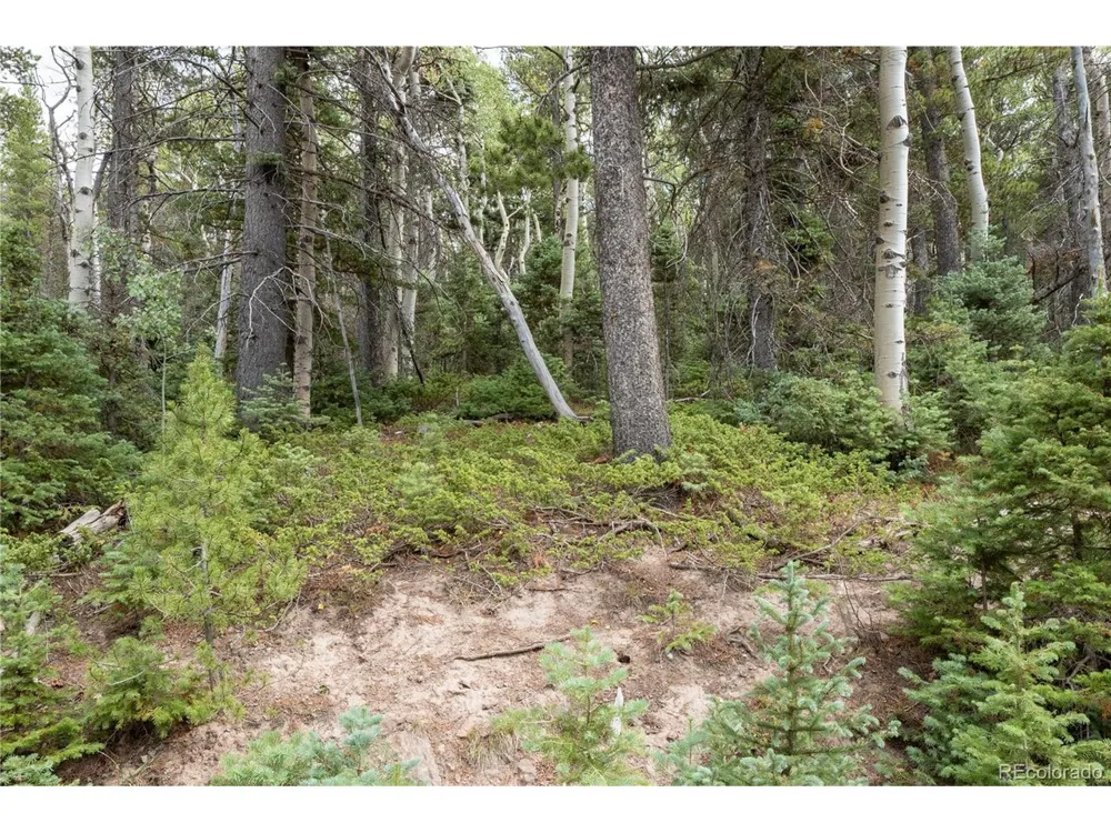 2238 Buonaventura Lane Fort Garland, CO 81133