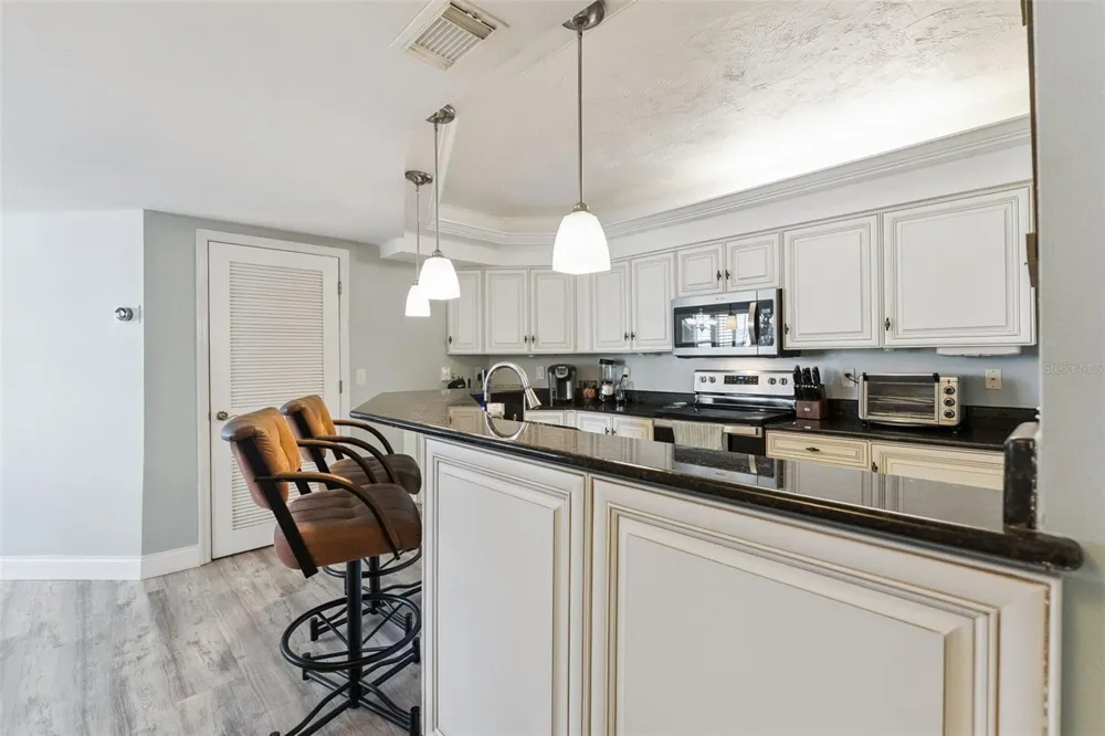 4555 S ATLANTIC AVENUE #4203 Ponce Inlet, FL 32127