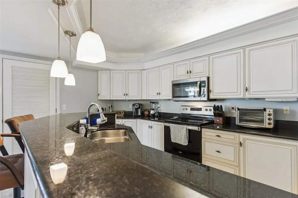 4555 S ATLANTIC AVENUE #4203 Ponce Inlet, FL 32127