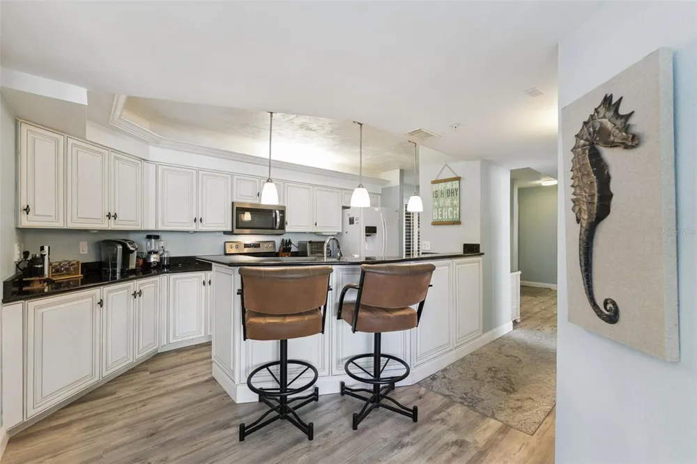 4555 S ATLANTIC AVENUE #4203 Ponce Inlet, FL 32127