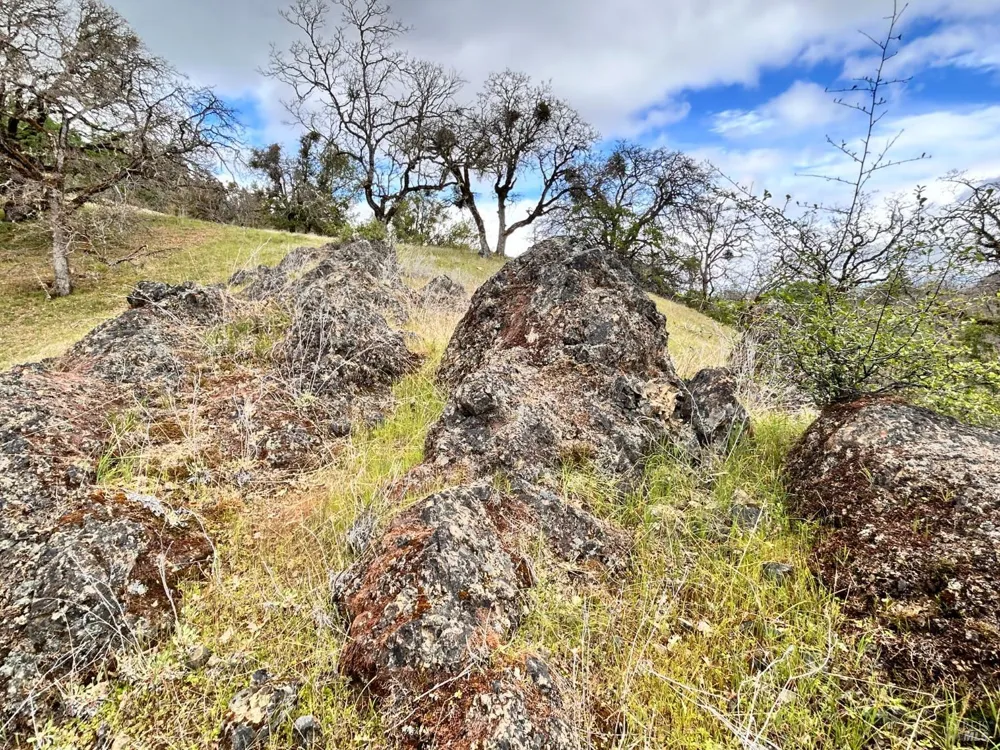 8401 Brandywine Drive Ukiah, CA 95482