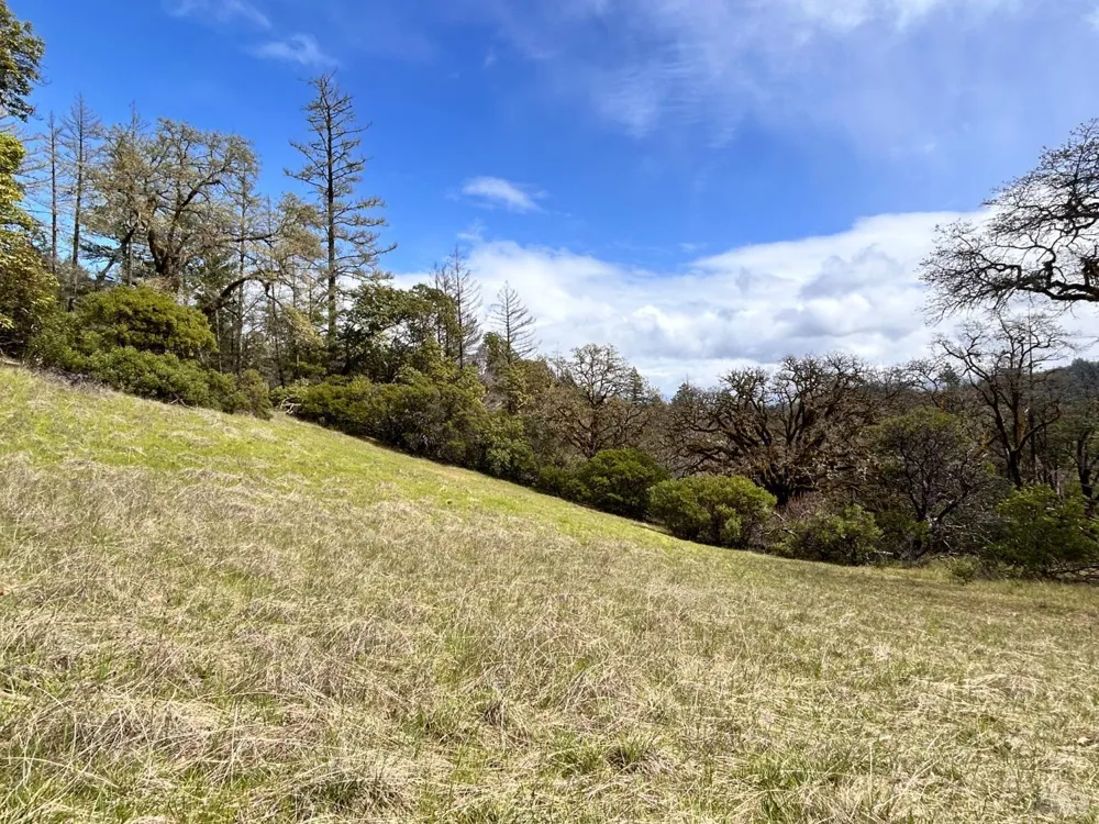 8401 Brandywine Drive Ukiah, CA 95482