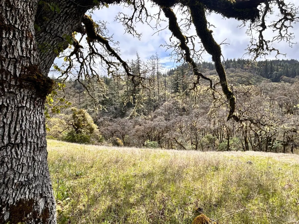 8401 Brandywine Drive Ukiah, CA 95482