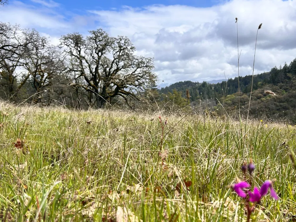 8401 Brandywine Drive Ukiah, CA 95482