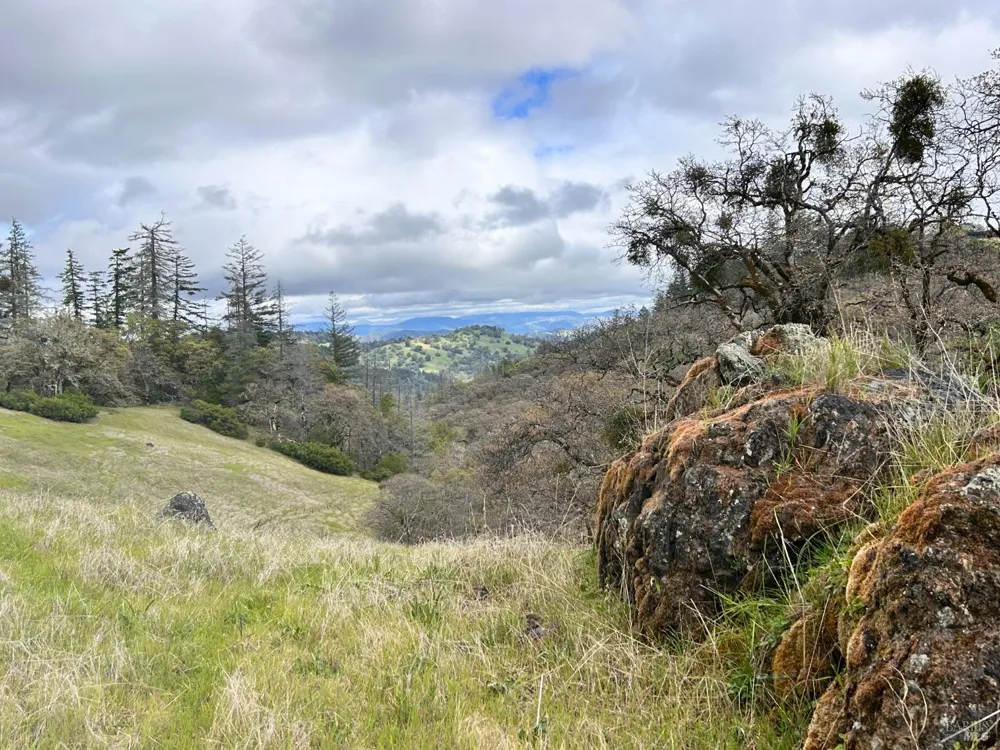 8401 Brandywine Drive Ukiah, CA 95482
