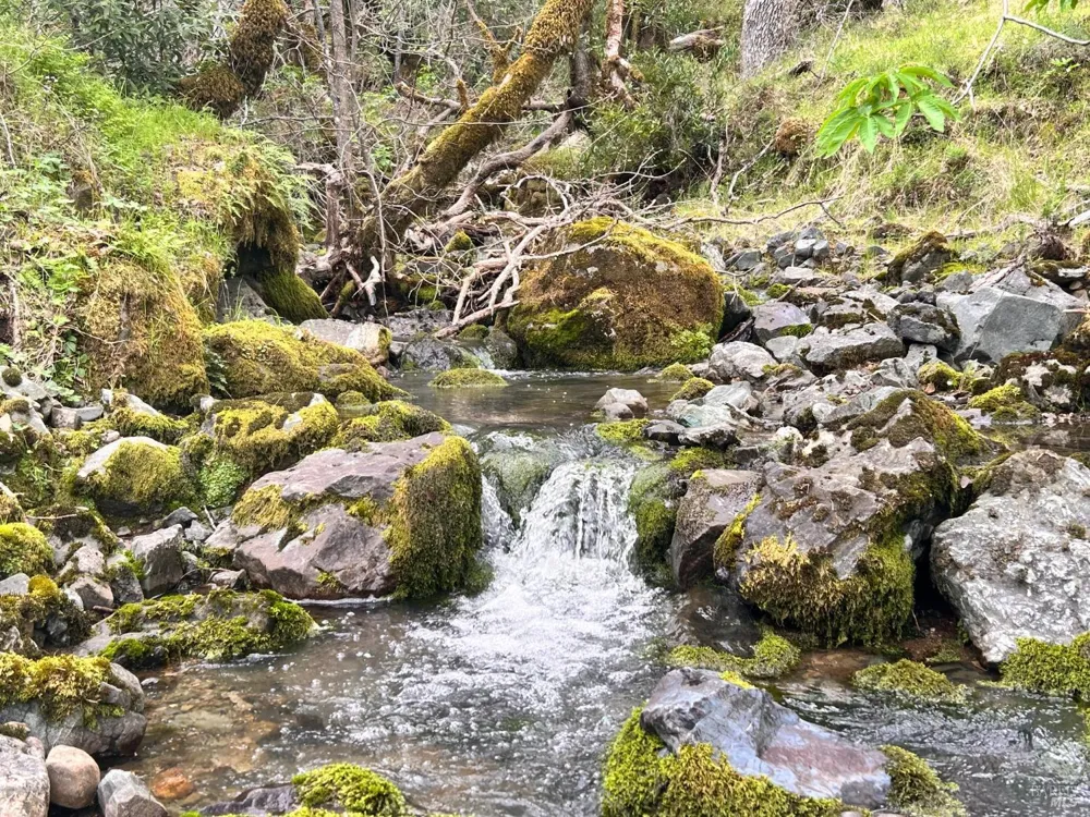 8401 Brandywine Drive Ukiah, CA 95482