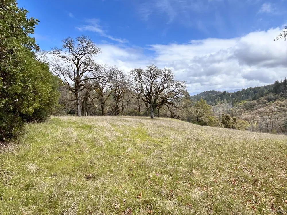 8401 Brandywine Drive Ukiah, CA 95482