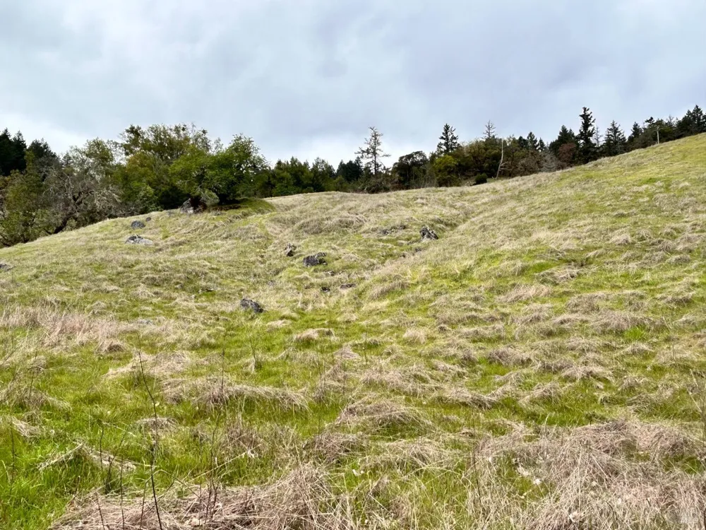 8401 Brandywine Drive Ukiah, CA 95482