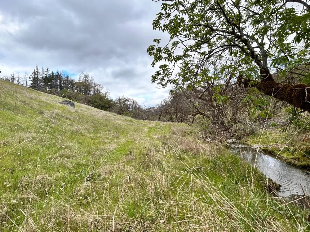 8401 Brandywine Drive Ukiah, CA 95482