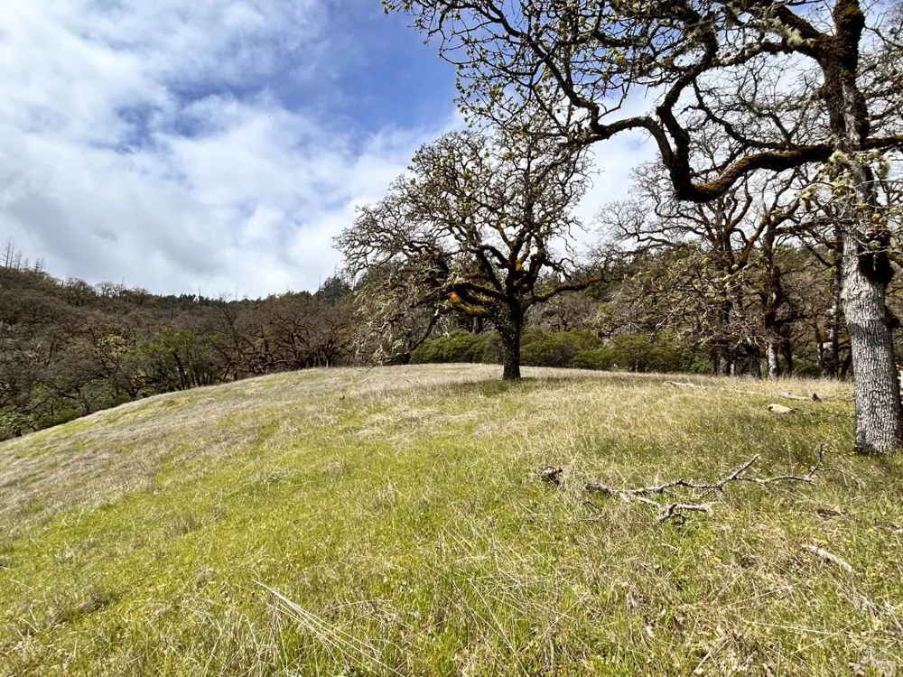 8401 Brandywine Drive Ukiah, CA 95482