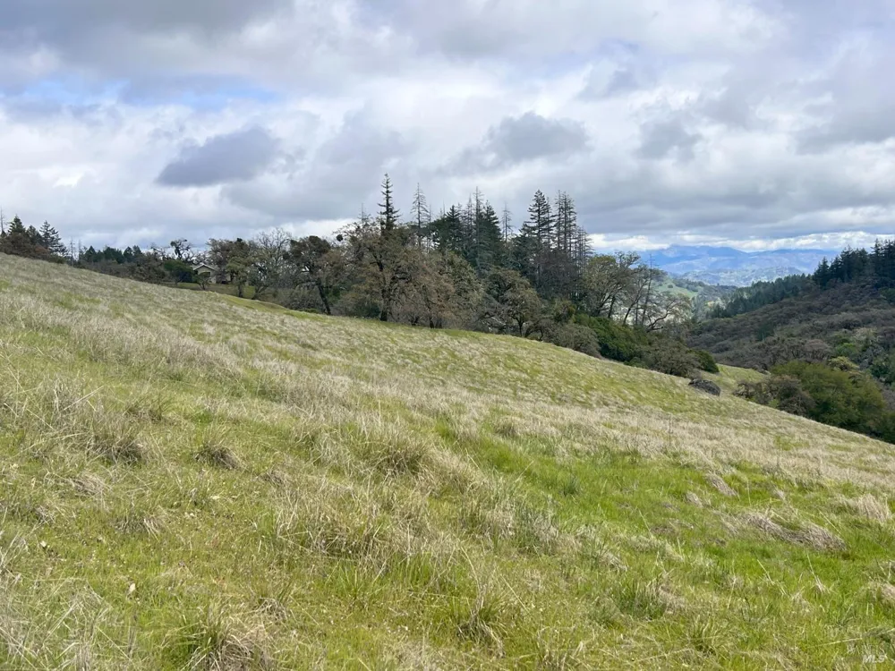 8401 Brandywine Drive Ukiah, CA 95482