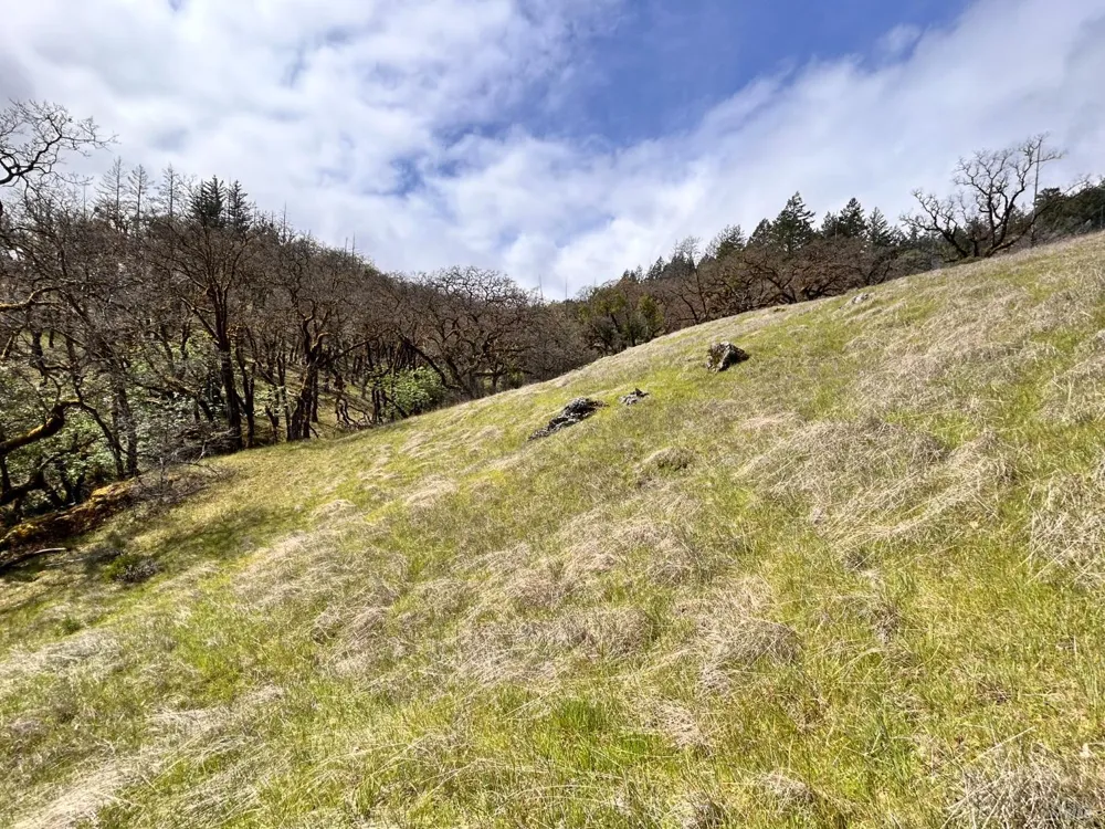 8401 Brandywine Drive Ukiah, CA 95482