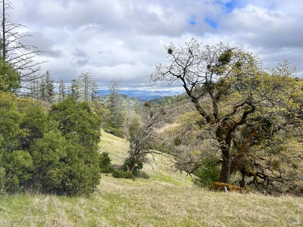 8401 Brandywine Drive Ukiah, CA 95482