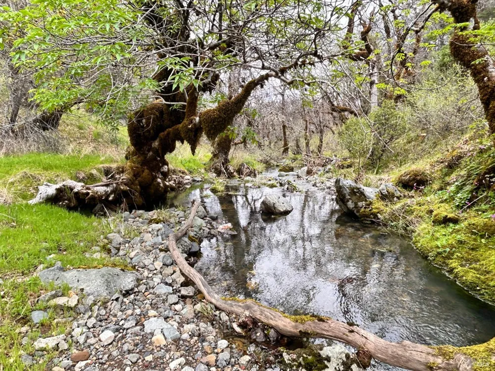 8401 Brandywine Drive Ukiah, CA 95482