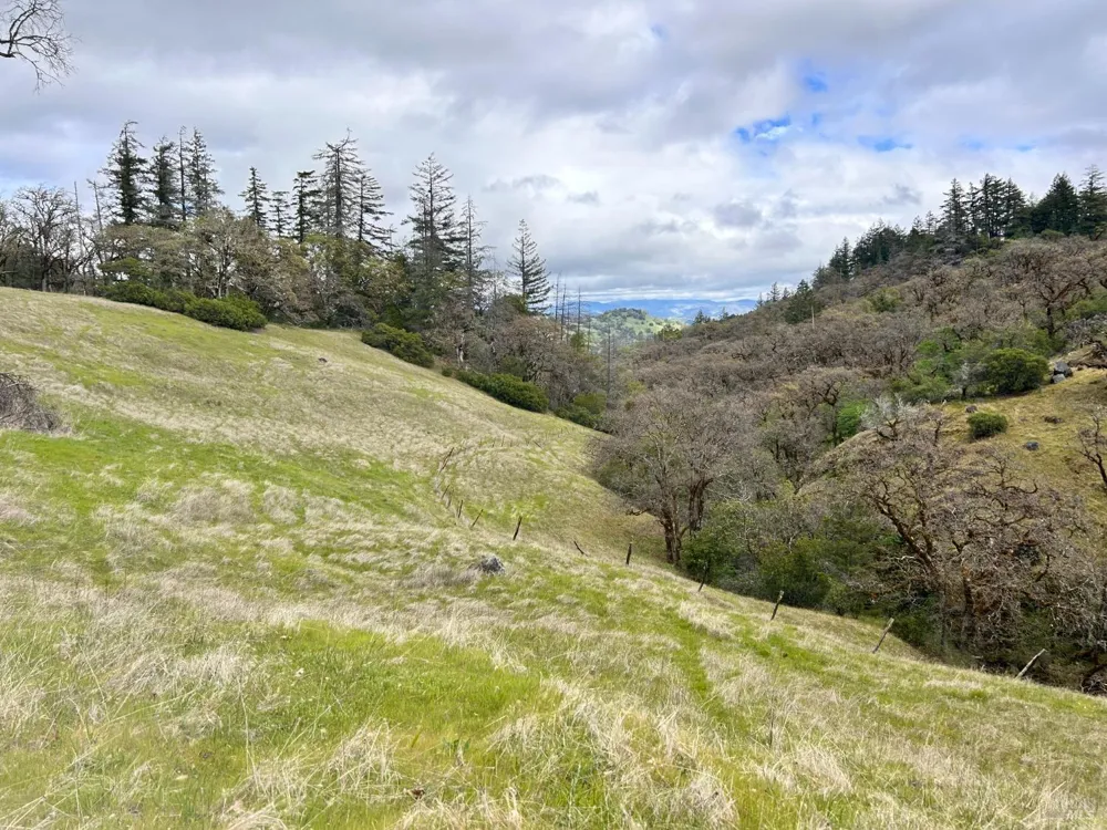 8401 Brandywine Drive Ukiah, CA 95482
