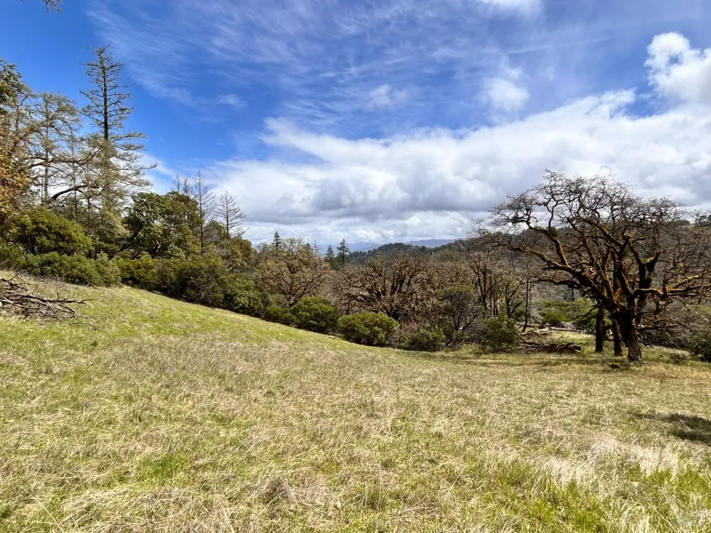 8401 Brandywine Drive Ukiah, CA 95482