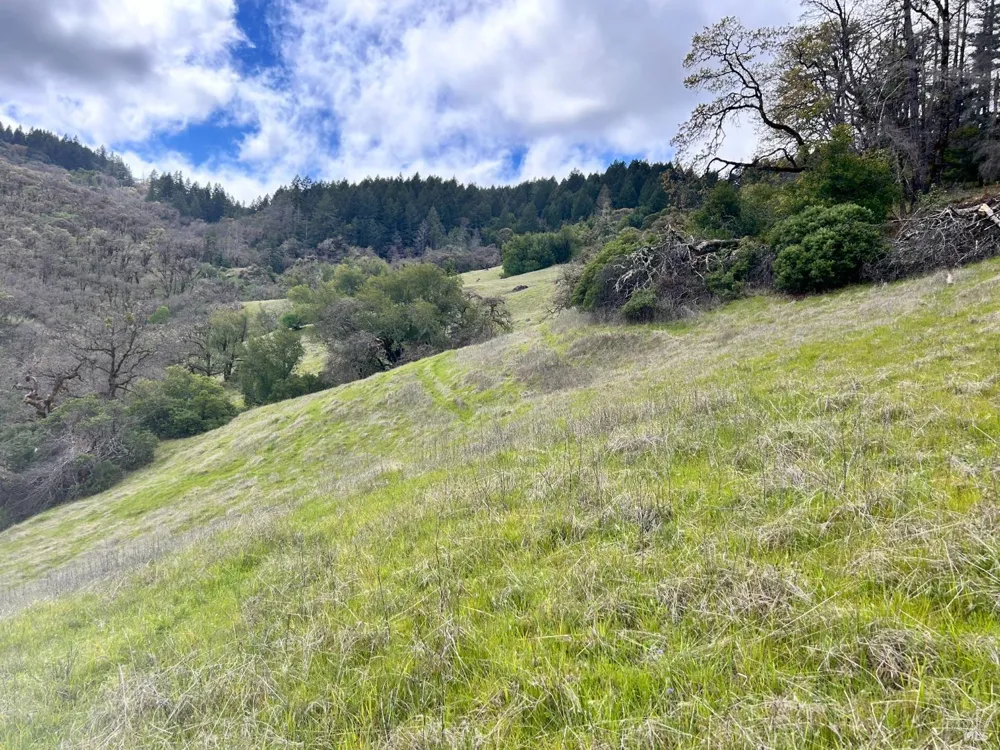 8401 Brandywine Drive Ukiah, CA 95482