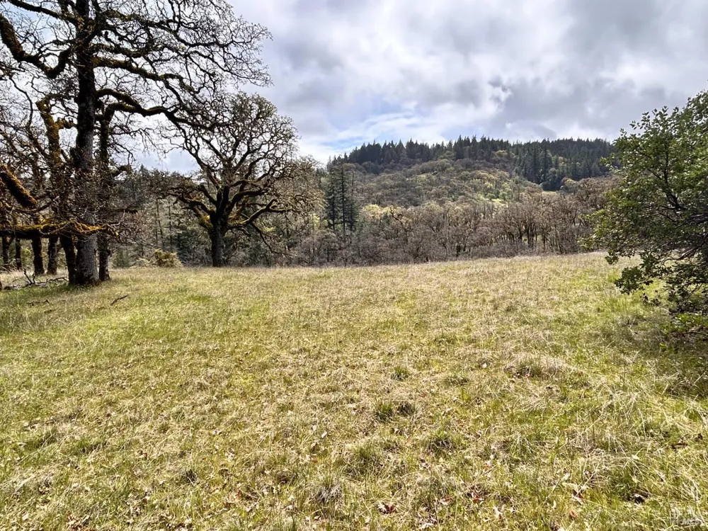 8401 Brandywine Drive Ukiah, CA 95482