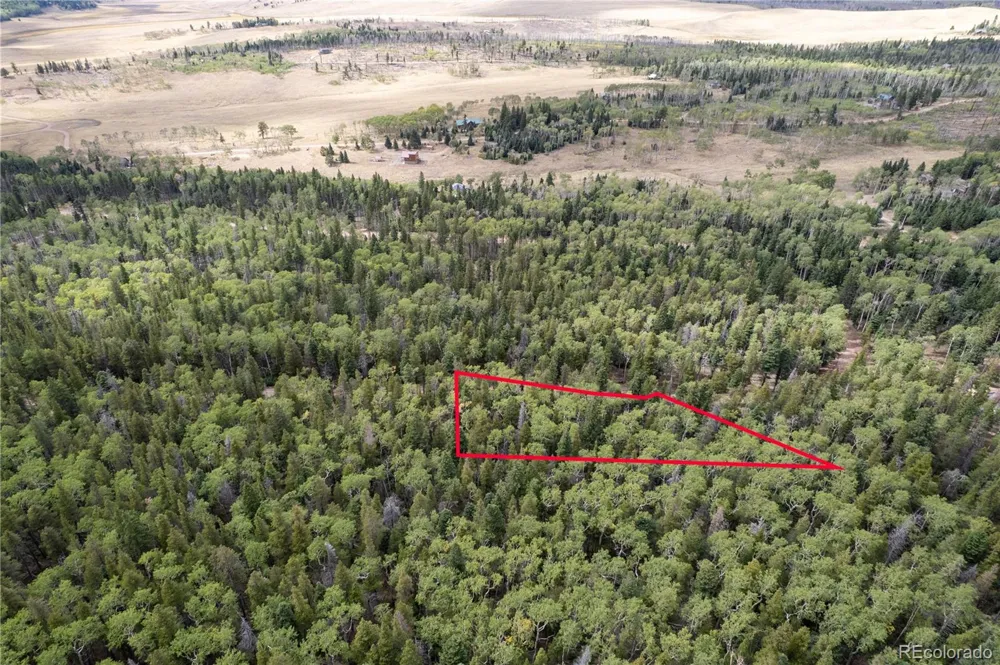 Lot 2238 Buonaventura Lane Fort Garland, CO 81133