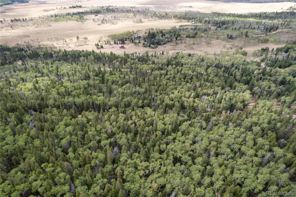 Lot 2238 Buonaventura Lane Fort Garland, CO 81133