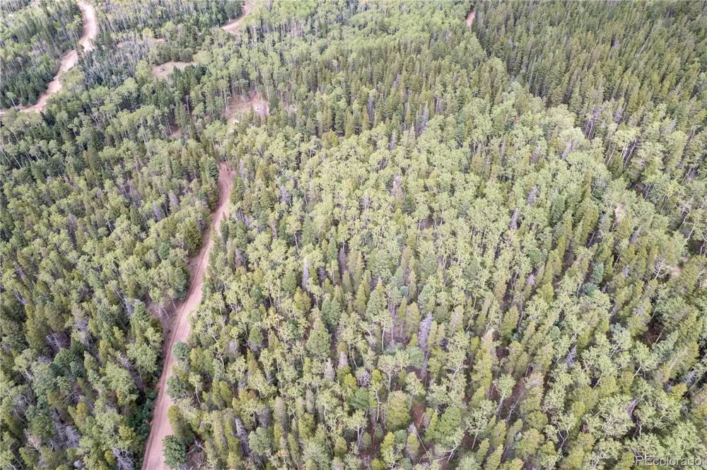 Lot 2238 Buonaventura Lane Fort Garland, CO 81133