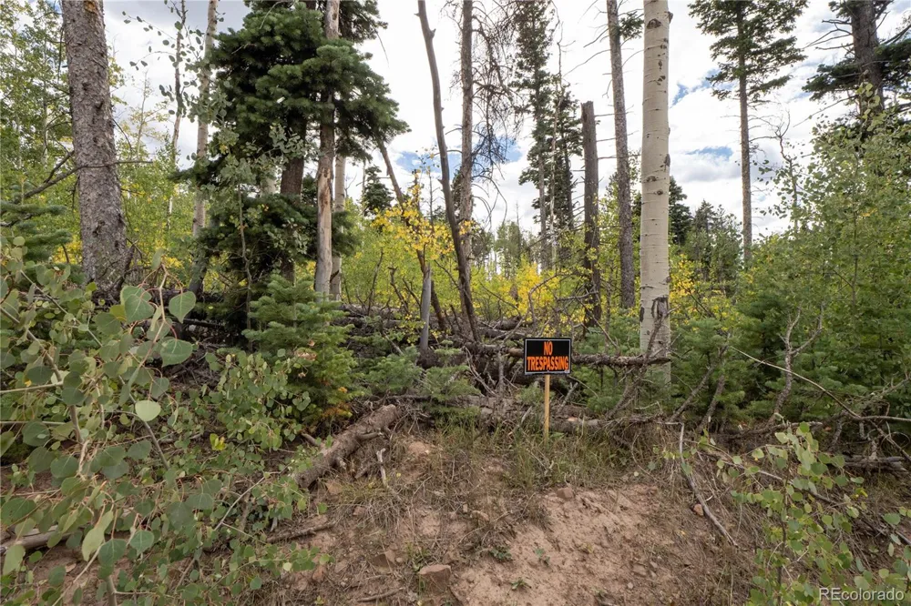 Lot 2238 Buonaventura Lane Fort Garland, CO 81133