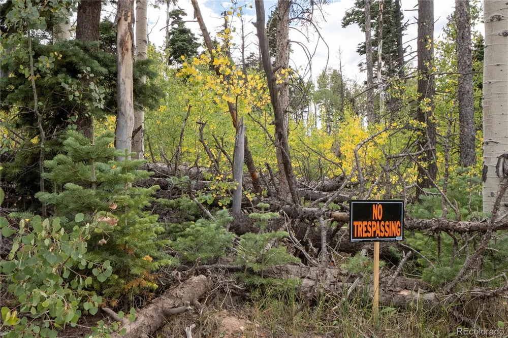 Lot 2238 Buonaventura Lane Fort Garland, CO 81133