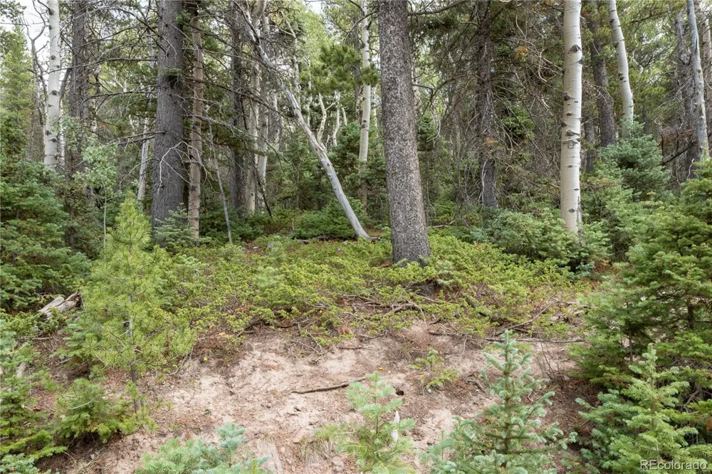Lot 2238 Buonaventura Lane Fort Garland, CO 81133