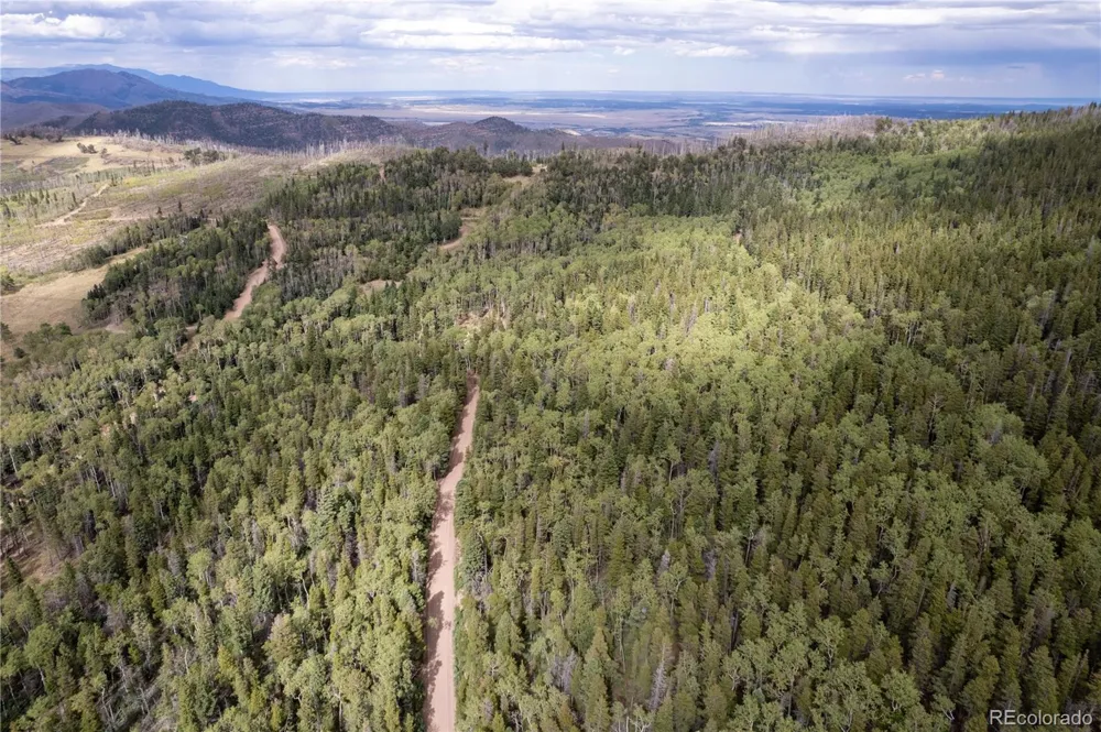 Lot 2238 Buonaventura Lane Fort Garland, CO 81133