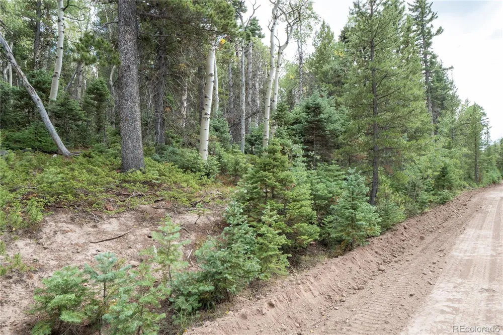 Lot 2238 Buonaventura Lane Fort Garland, CO 81133