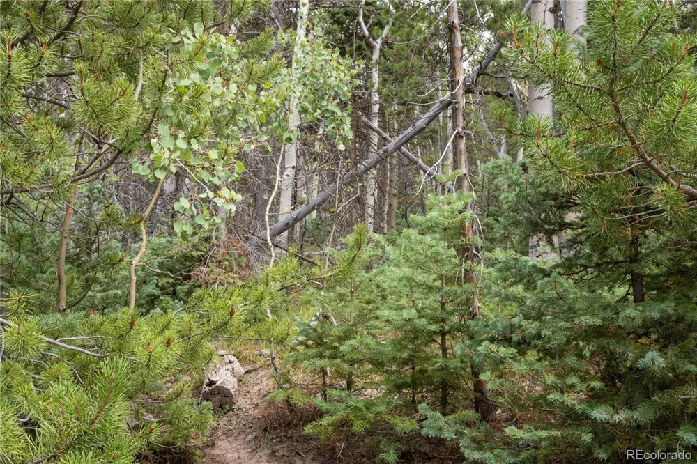 Lot 2238 Buonaventura Lane Fort Garland, CO 81133
