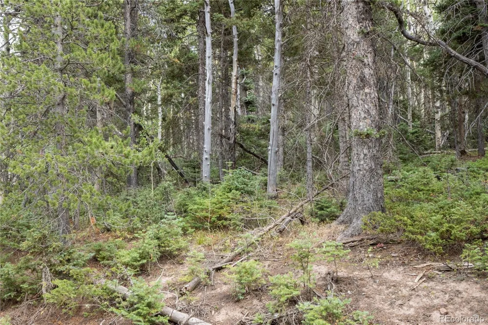 Lot 2238 Buonaventura Lane Fort Garland, CO 81133