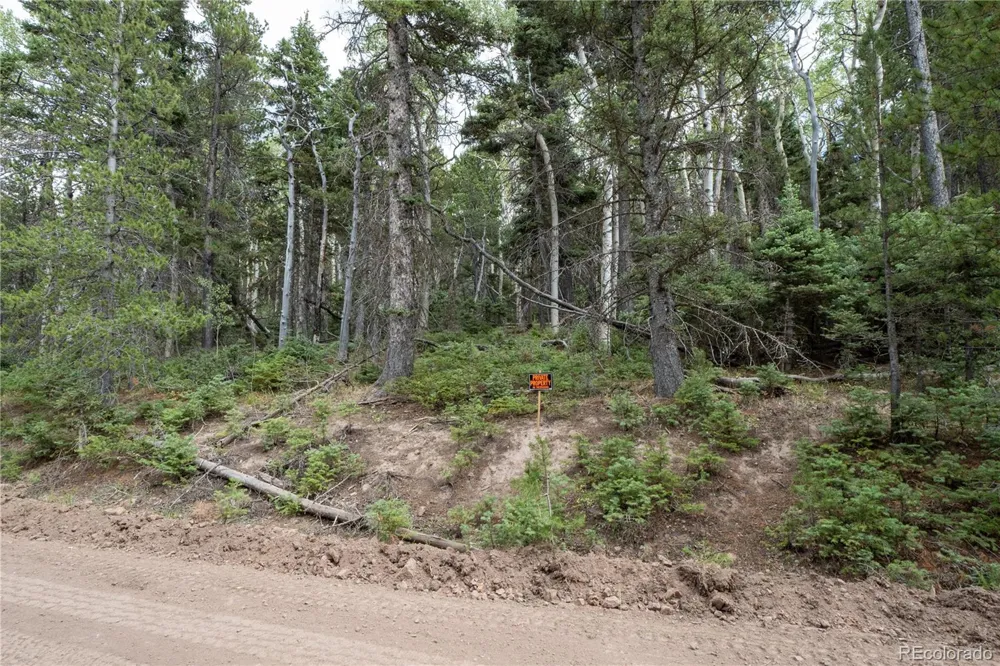 Lot 2238 Buonaventura Lane Fort Garland, CO 81133