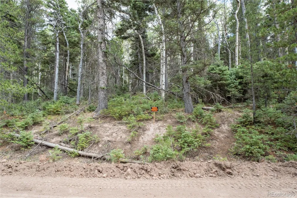 Lot 2238 Buonaventura Lane Fort Garland, CO 81133