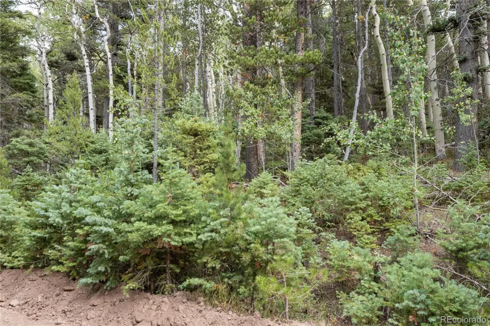 Lot 2238 Buonaventura Lane Fort Garland, CO 81133
