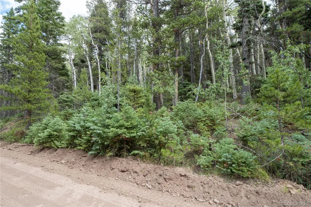 Lot 2238 Buonaventura Lane Fort Garland, CO 81133