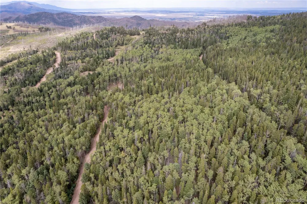 Lot 2238 Buonaventura Lane Fort Garland, CO 81133