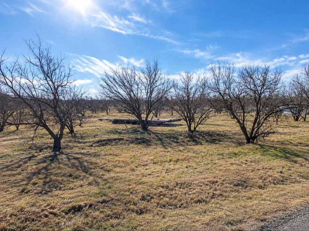 County Road 505 Abilene, TX 79601